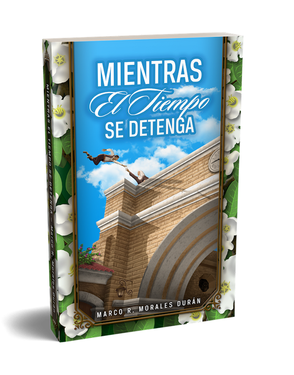 Mientras el tiempo se detenga - libro