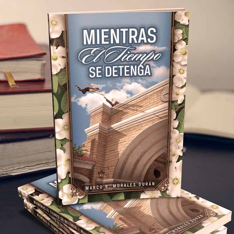 Mientras el tiempo se detenga - libro
